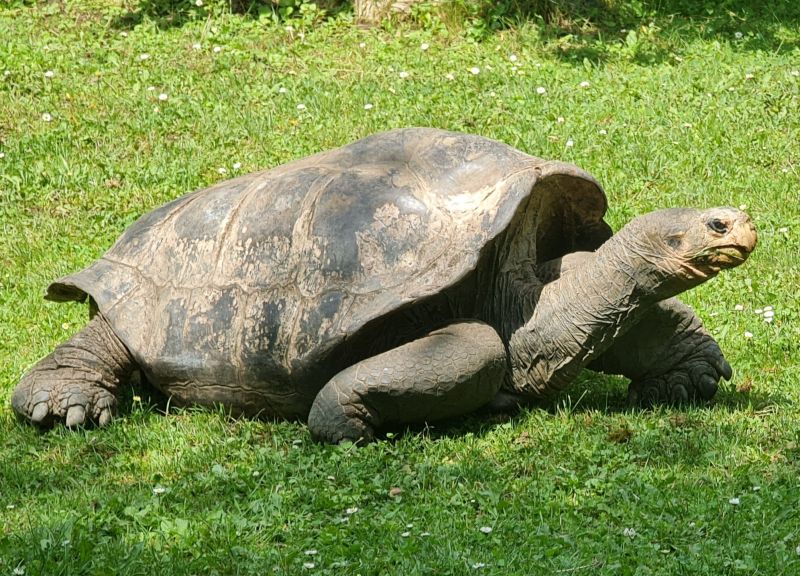 gal/2021/12 ZOO Praha/20210806_124623.jpg